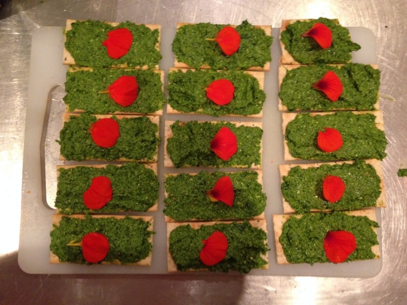 Atelier de cuisine végétarienne