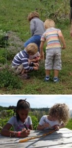 Stage nature été - pour enfants 6-12 ans : comment improviser un repas avec les légumes du potager et créer des objets en bois. A Bossière du 29 au 31 août 2016