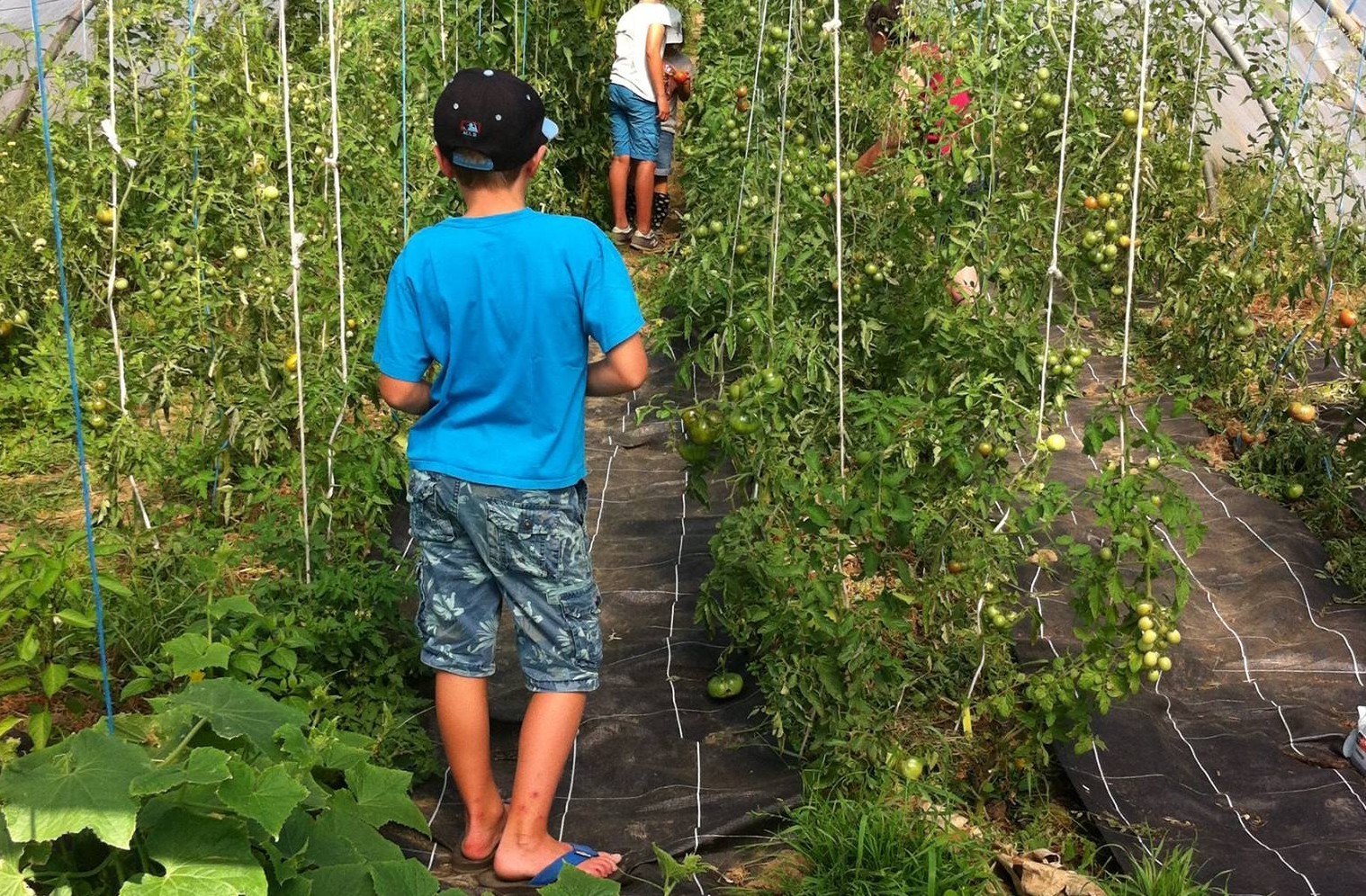 Stage nature pour enfants du 22 au 26 août 2016