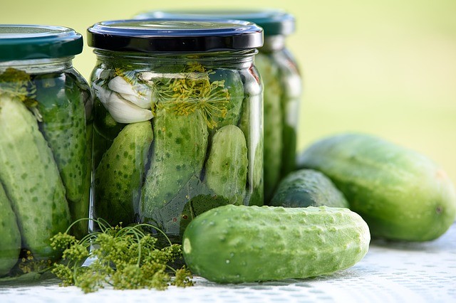 Quatre journées et demi autour de la conserve