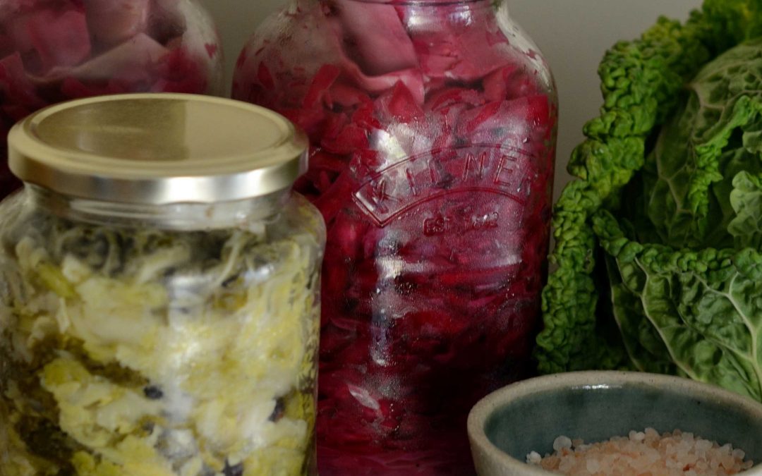 Atelier – Fabrication de choucroute et autres essais de lacto-fermentation – 24 novembre 2018