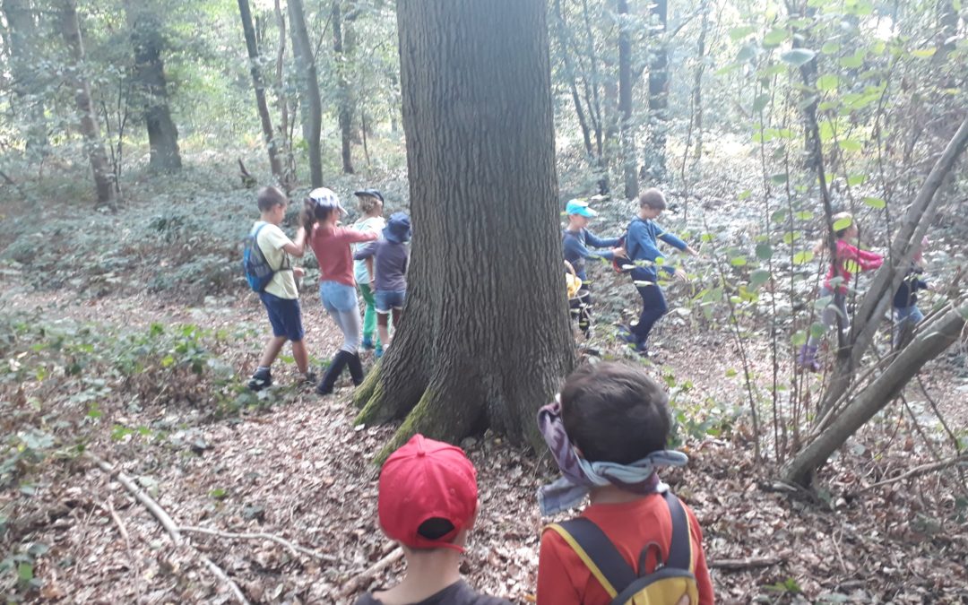 Stage nature et cuisine – 29-31 octobre 2018