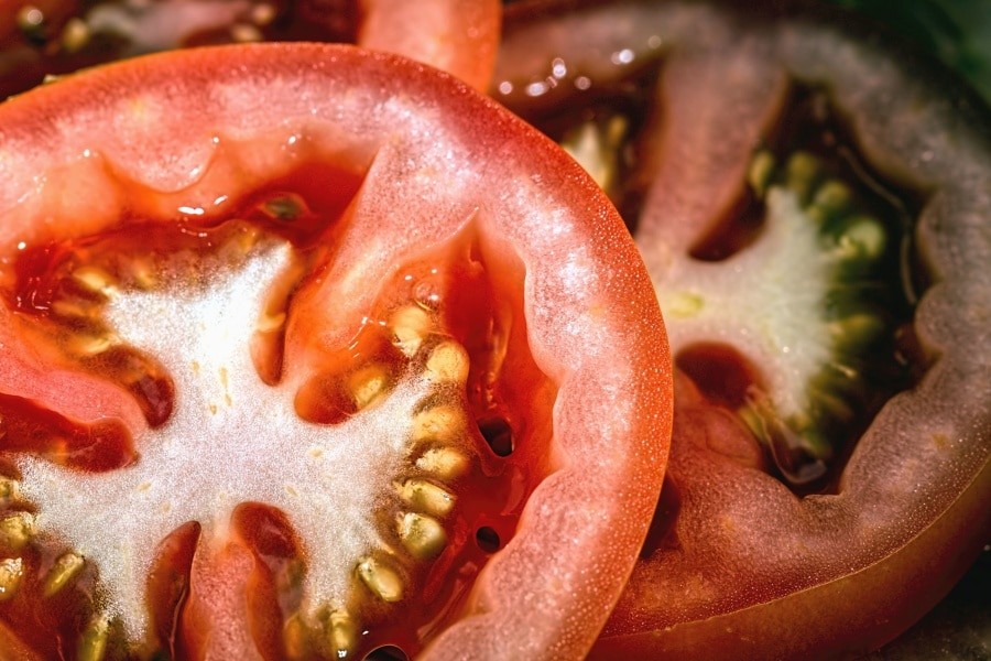Techniques de culture agro-écologique pour son jardin-potager (3/3) – 15 septembre 2019