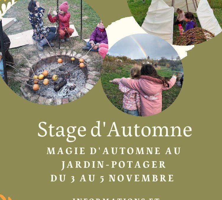 Stage Nature et Cuisine : Magie de l’automne au jardin-potager 