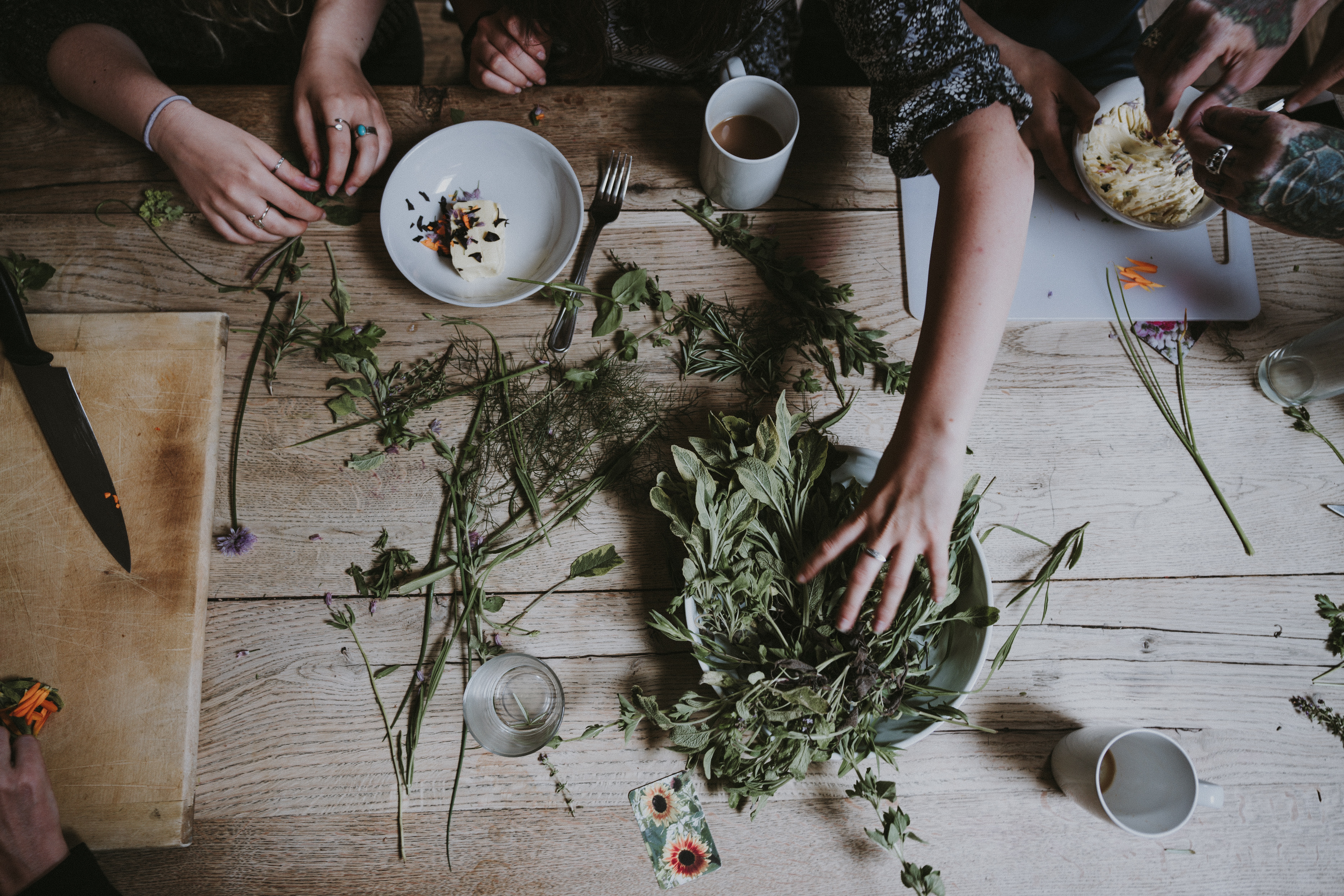 La santé et les plantes compagnes de l’hiver