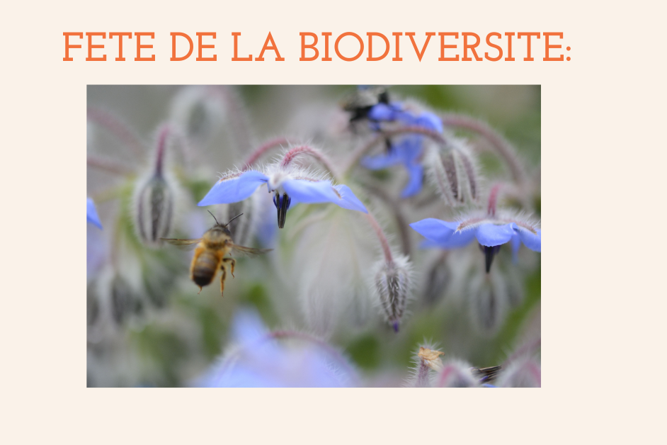 Fête de la Biodiversité 2023: rendez-vous le dimanche 04/06
