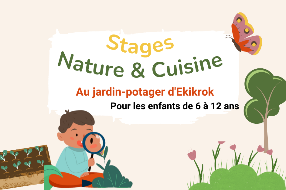 Stages d’été 2023 – Nature et cuisine au jardin!