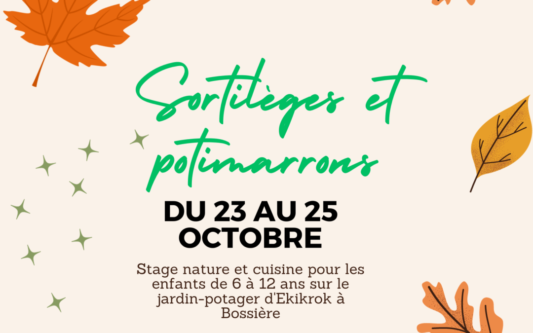 Sortilèges et potimarrons – Stage d’automne du 23 au 25 octobre 2023 (terminé)