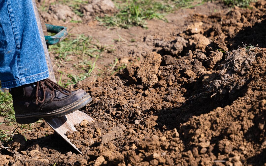 Jardinage hebdomadaire collectif: récapitulatif des présences au jardin-potager.
