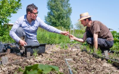 Chantier participatif du samedi 8 août