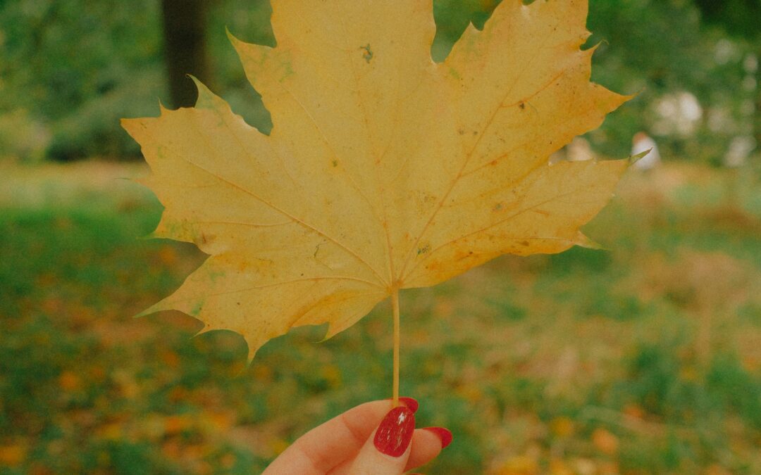 Horaire des congés d’automne à l’épicerie