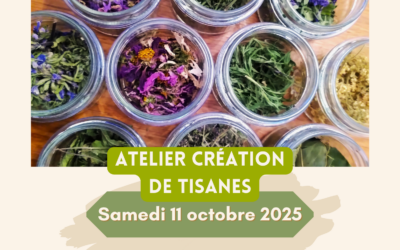 Atelier Création de tisanes avec Mana – Samedi 11 octobre
