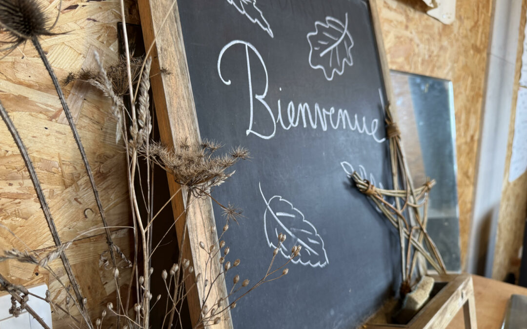 3 cycles d’ateliers débarquent chez nous en 2026