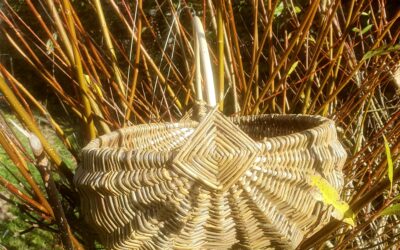 Réaliser son panier en osier- cycle d’ateliers