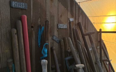 Chantier participatif le samedi 9 mai 2026, rejoignez-nous !