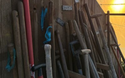 Disponible le weekend ? Rejoignez-nous lors d&rsquo;un chantier participatif!