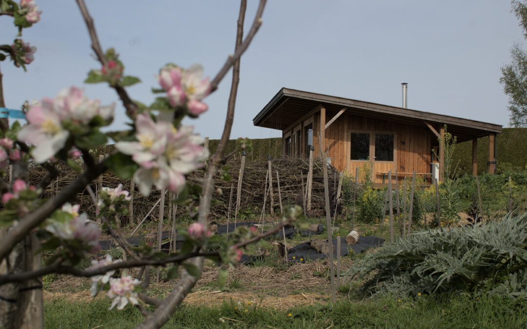 Journée « jardin ouvert » le dimanche 7 juin 2026