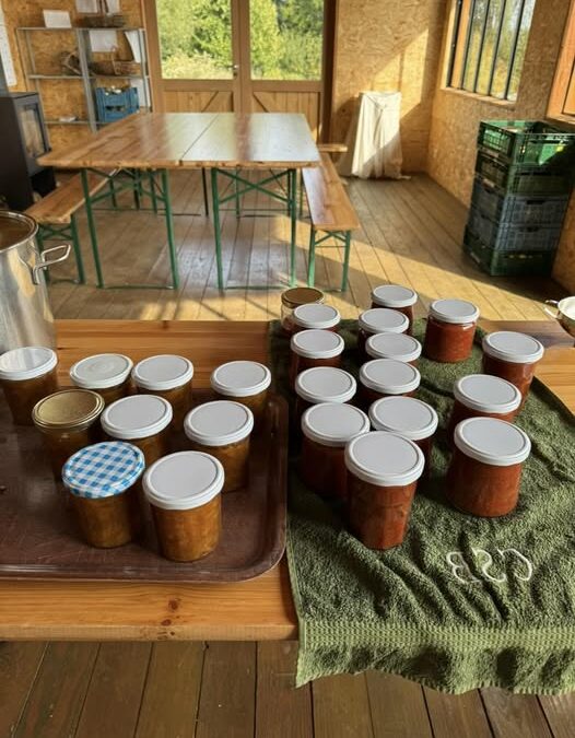 Confection de gelées de petits fruits le 16 juillet prochain !
