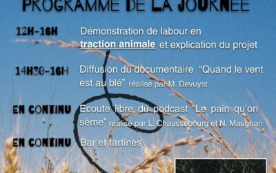 Dimanche 11 octobre – Produisons de la farine, étape 1 : journée préparation du sol avec traction animale